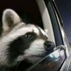 DnD | made on the Rapchat app (prod. by Iamlosermusic)