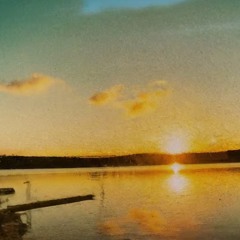 fallen leaves - [indie rock, country, mumble rap]