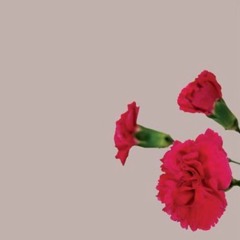 Harder - Teejay Ali (Cover)