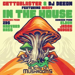 Gettoblaster, DJ Deeon, Missy - In The House