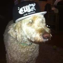 WYN - OkDeazy {4head}