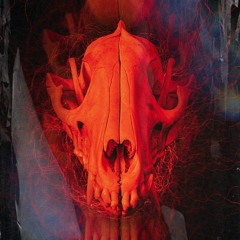 A Musing On The Dogs and Their Masters (Demo)