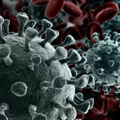 Techno Dave - COVID19