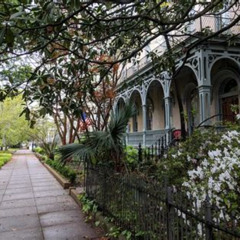 Review Special Price Private Tour Of Savannah'S Historicvictorian Districts & Bonaventure Cemetery