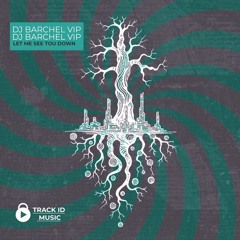 Let Me See Tou Get Down [VIP Mix]