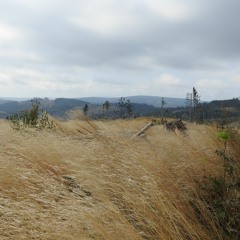 Will Van De Crommert,Ian Post i inni