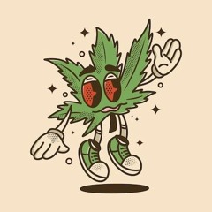 Jamal PLUG SPEED