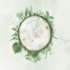 Rebirth