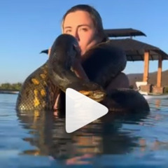Viral 18++) one girl one anaconda video link ruby and anaconda full new original