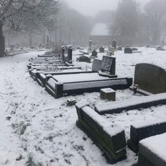 the place below each of my footsteps (asagao, tgwog)