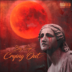 Big Cop - Crying Out