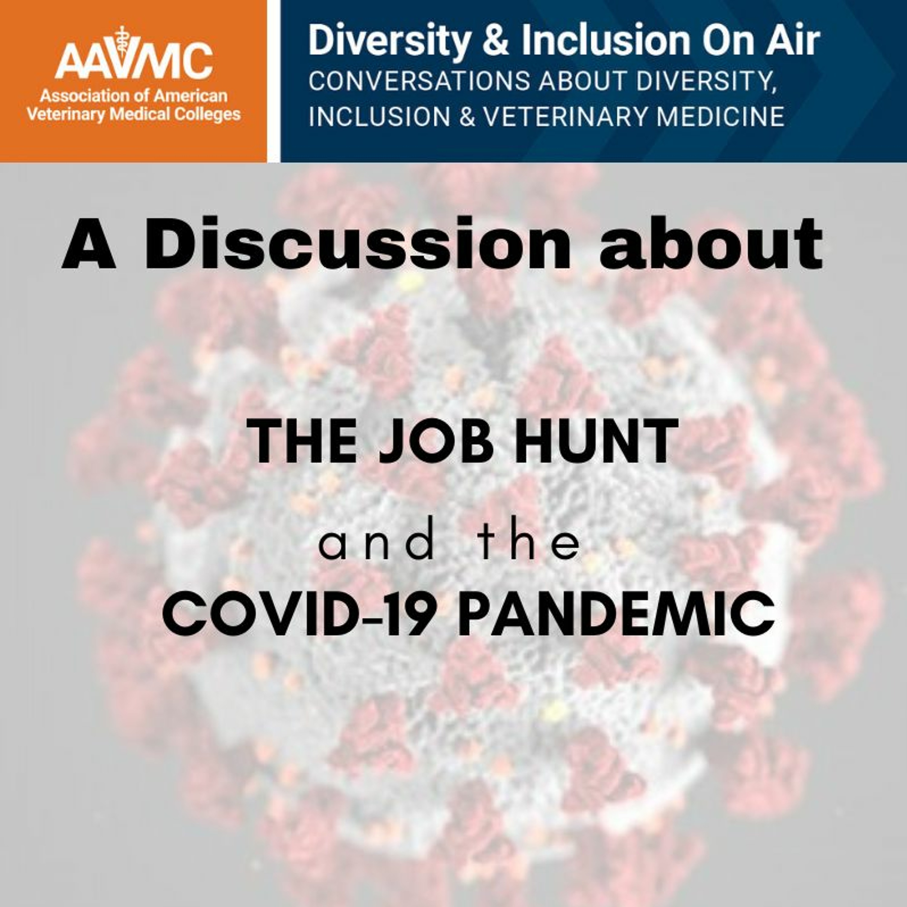 AAVMC\'s On Air: Conversations about Issues in Veterinary Medicine