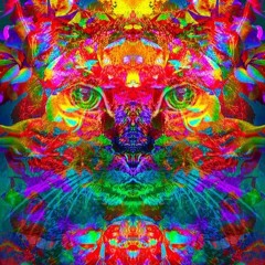 ROBIN SCHULZ FEAT. ALIDA - IN YOUR EYES ( DEEPER AND TRIPPER REMIX BY OXYKOMA ))