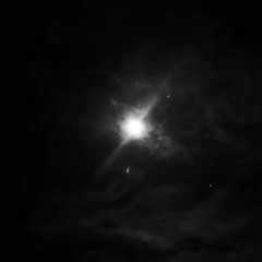 Cosmos