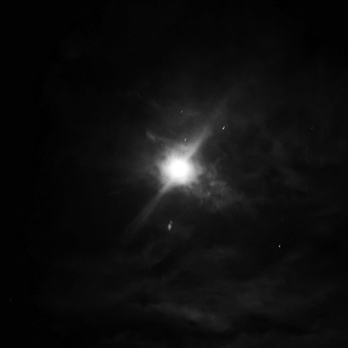 Cosmos