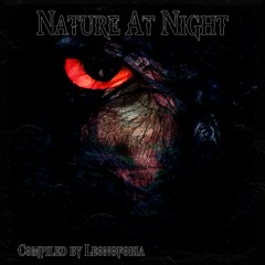 Chernobeing - VA Nature At Night (Compiled By Leonofobia) - 08 Landscape Spaces Perception