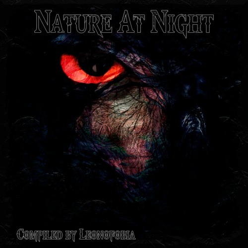 Chernobeing - VA Nature At Night (Compiled By Leonofobia) - 08 Landscape Spaces Perception