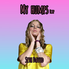 Seth David, Black Eyed Peas - My Humps Flip [leaked]