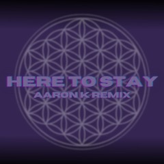 Here To Stay (Aaron K Remix)