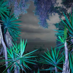 EXQUISITE_VISIONS - SBS