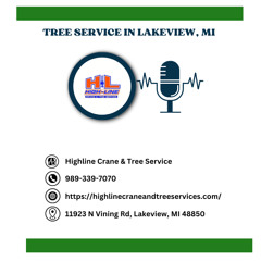 how-to-choose-best-tree-service-company-lakeview-mi