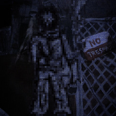 CupsX3 (P. morecalcium)