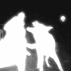 i wish i could remember you