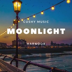 Moonlight(Lofi Remix) - Harnoor || Cushy Music