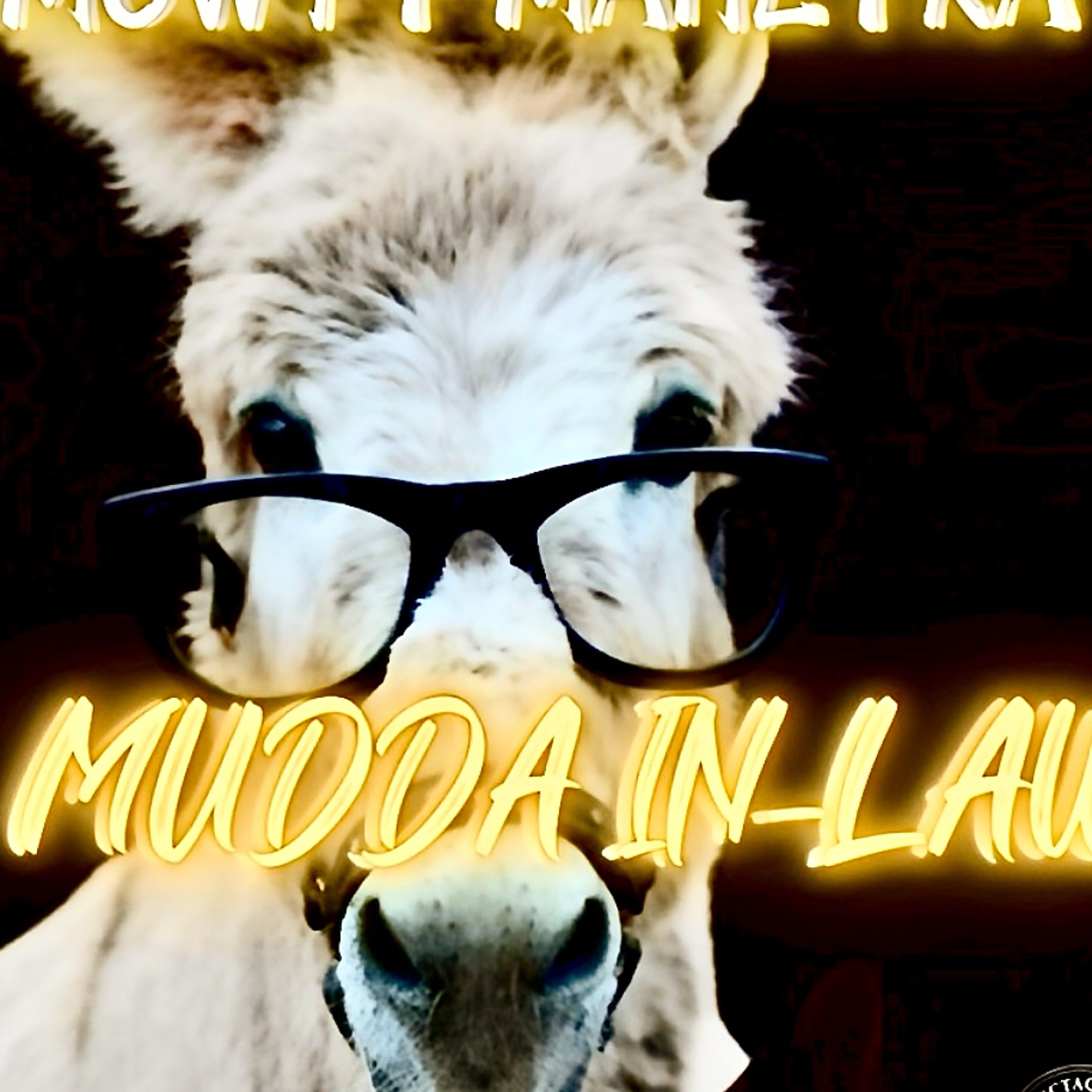 Mudda Inlaw episode artwork