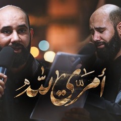 أمري لله _ الرادود كميل عاشور _ موكب سترة الخارجية