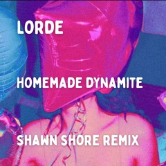 Lorde - Homemade Dynamite (Shawn Shore Remix)