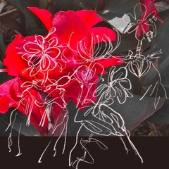 like flora