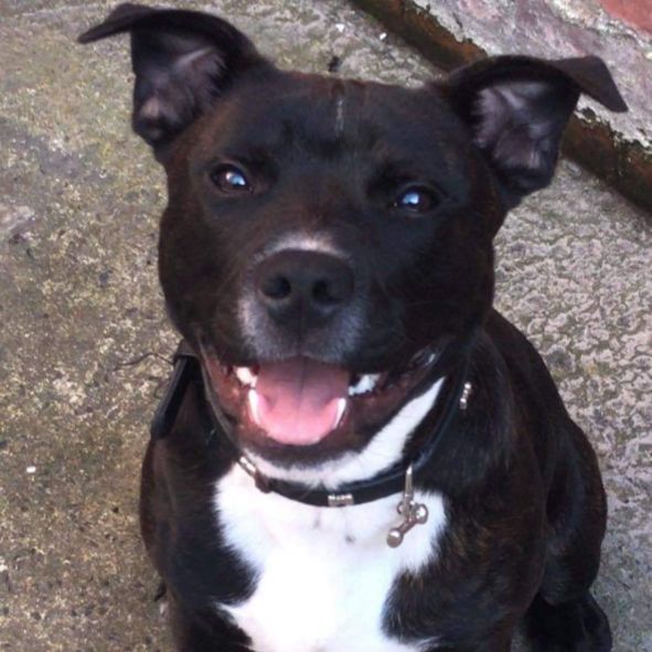 Infectious! – I Need Your Lovin (95 Happy Hardcore Heavy Extended Version)  (1995)