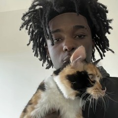 pradabagshawty - i need help (shiro)