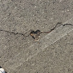 chẳng phải tình đầu sao đau đến thế x anh muốn nhìn thấy em x cơn mưa tí tách