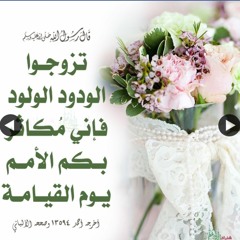 تزوجوا الودود الولود.mp3