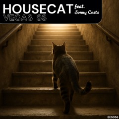 Housecat (Original Mix) [feat. Sonny Costa]