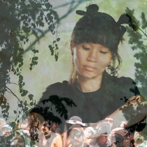 Monument Festival 2022: Polygonia (live)
