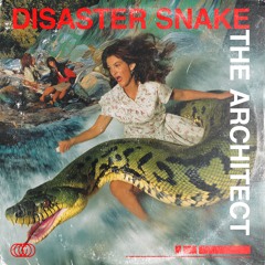 Disaster Snake - The Architect