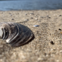 SAND V2