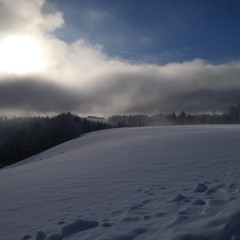 In Der Ferne (Treibholz)