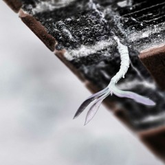 Du bist nicht allein (Frenchcore Version)