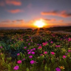 (إن الله وملائكته يصلون على النبي) أواخر سورة الأحزاب للشيخ خالد الجليل.mp3