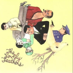 wrong choice - the lovely feathers