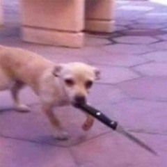 MR HARRINGTON - KILL 'EM (ROLL CHEAP REMIX)