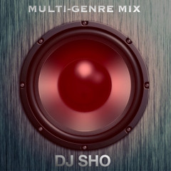 THE DJ SHO MIX 2023 (VOL 2) (MULTI-GENRE MIX) (LIL BABY, GUNNA, SZA, GYPTIAN, WIZKID & MORE)