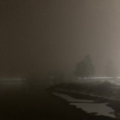 Elektorni @ KRO FM 28.11.2024