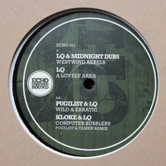 B1 LQ & Pugilist - Wild & Erratic (MASTERED)