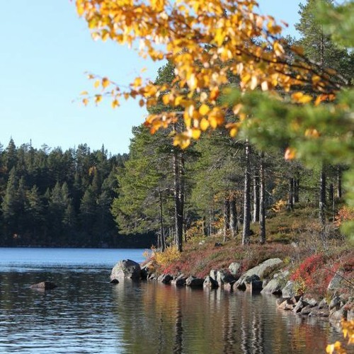 Wanderlust At Autumn Lake