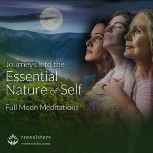 Prayers For The Amazon Forest And Indigenous Custodians ~ Full Moon July 2020